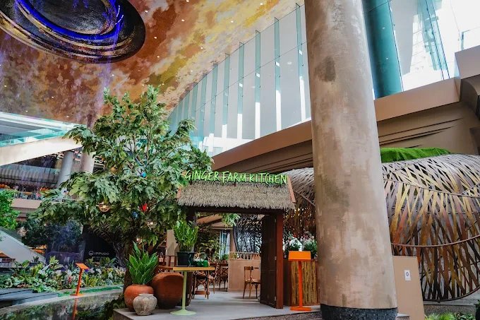 GINGER FARM Kitchen ICONSIAM Bangkok | Organic Thai Restaurant at ICONSIAM