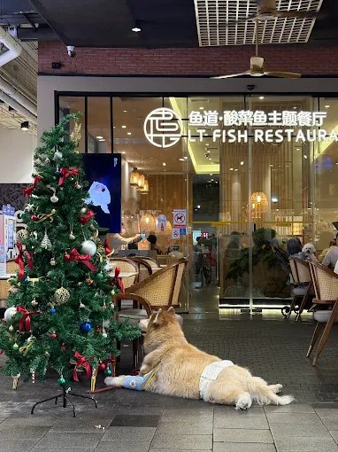 LT FISH Restaurant Central EastVille | Sichuan Pickled Cabbage Fish in Lat Phrao