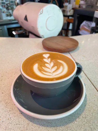 Roots Coffee Saladaeng Bangkok | Thai Specialty Coffee at theCOMMONS photo 3