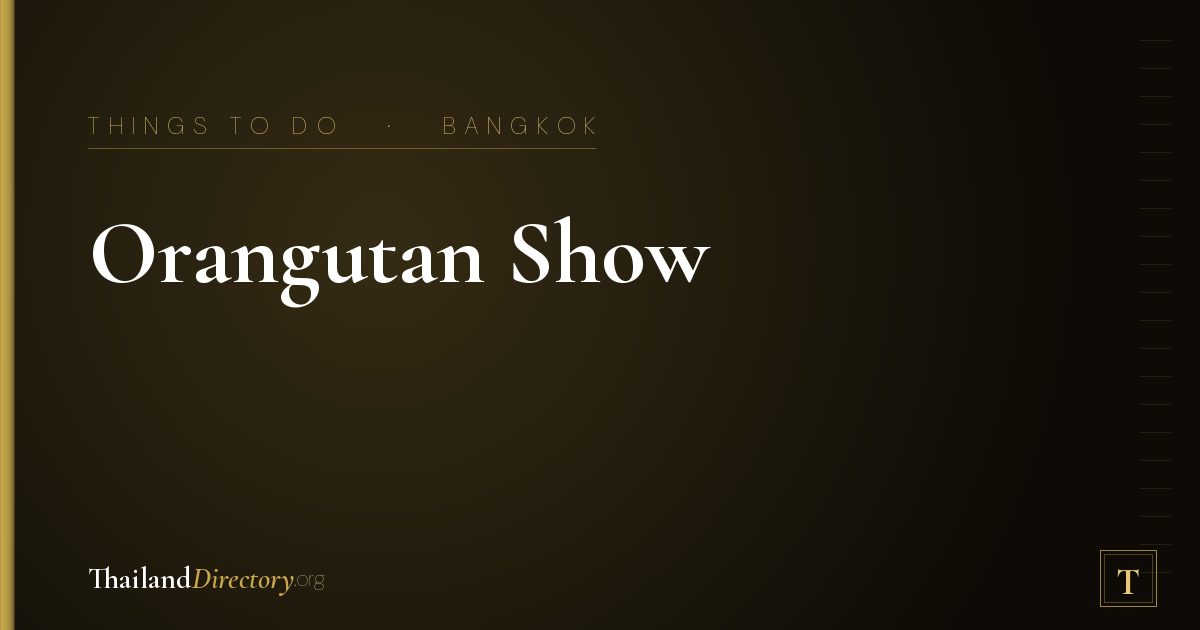 Orangutan Show