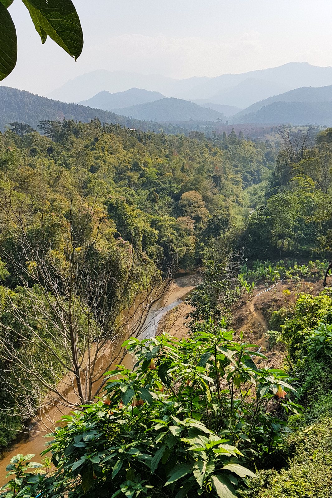 Chiang Mai province, Thailand