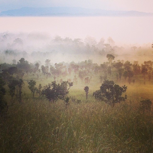 Phitsanulok province, Thailand
