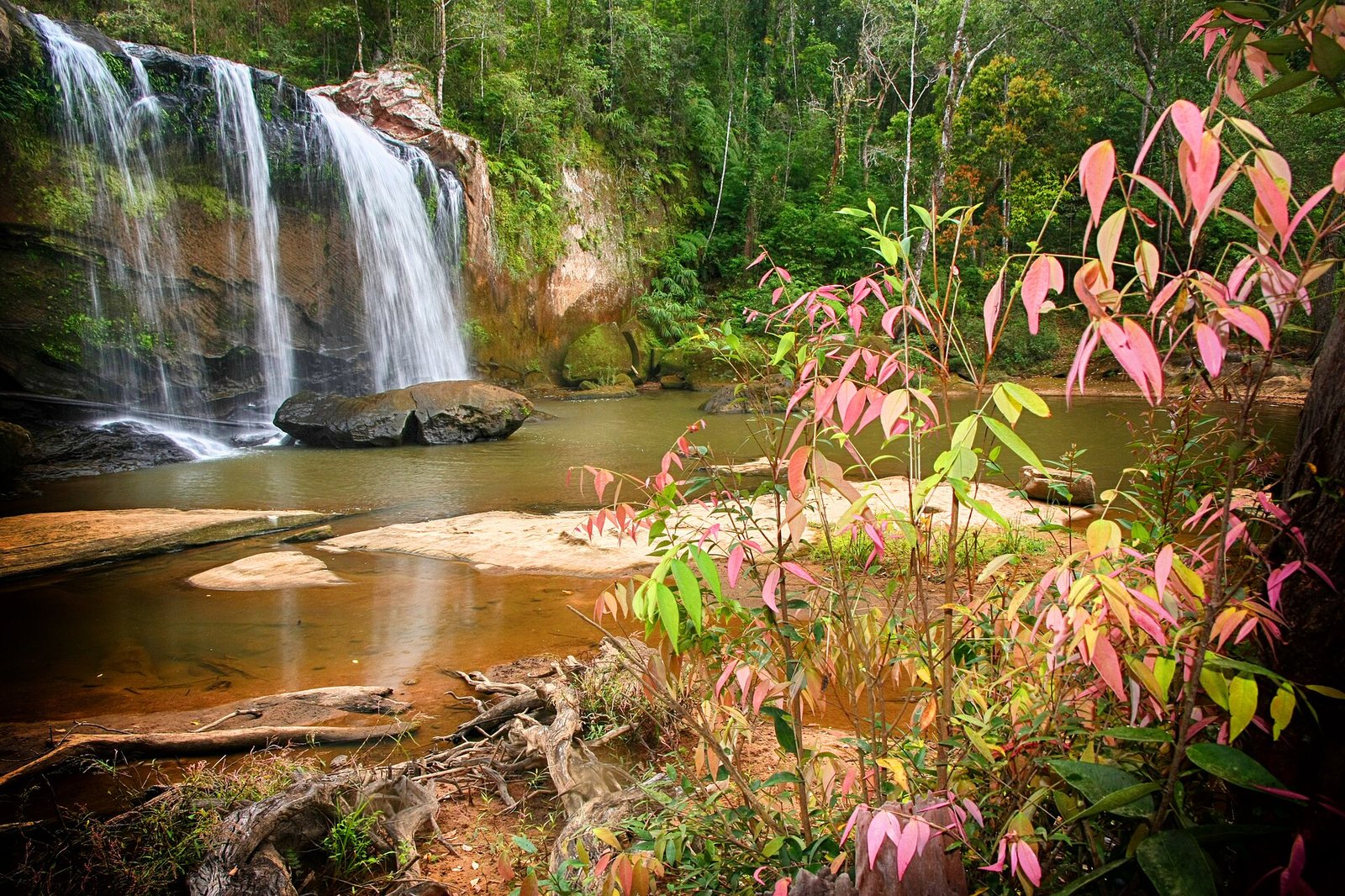 Phitsanulok province, Thailand