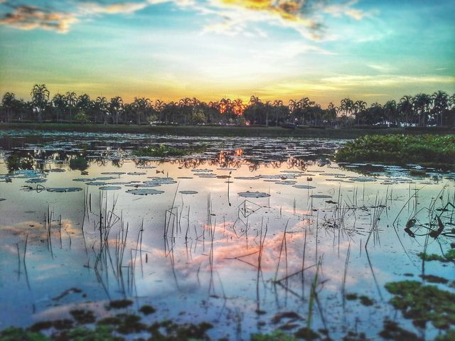 Sakon Nakhon province, Thailand