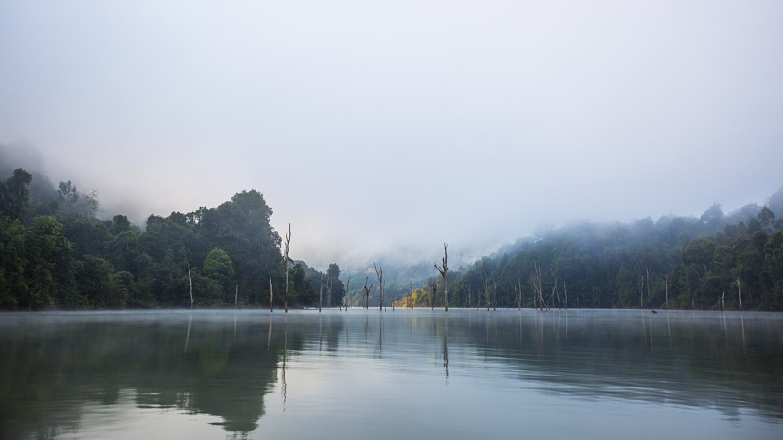 Surat Thani province, Thailand